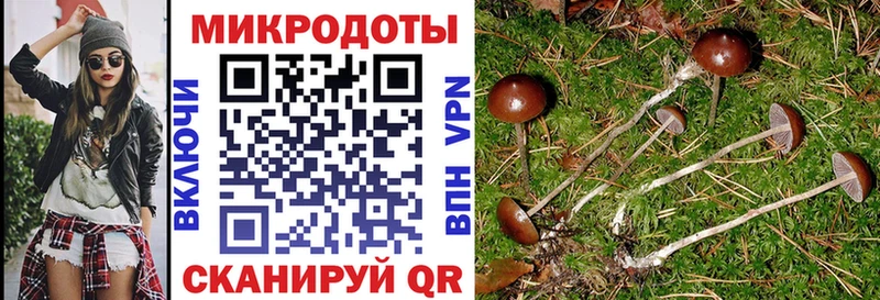 наркотики Иннополис Галлюциногенные грибы Magic Shrooms